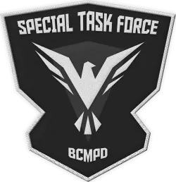Special Task Force
